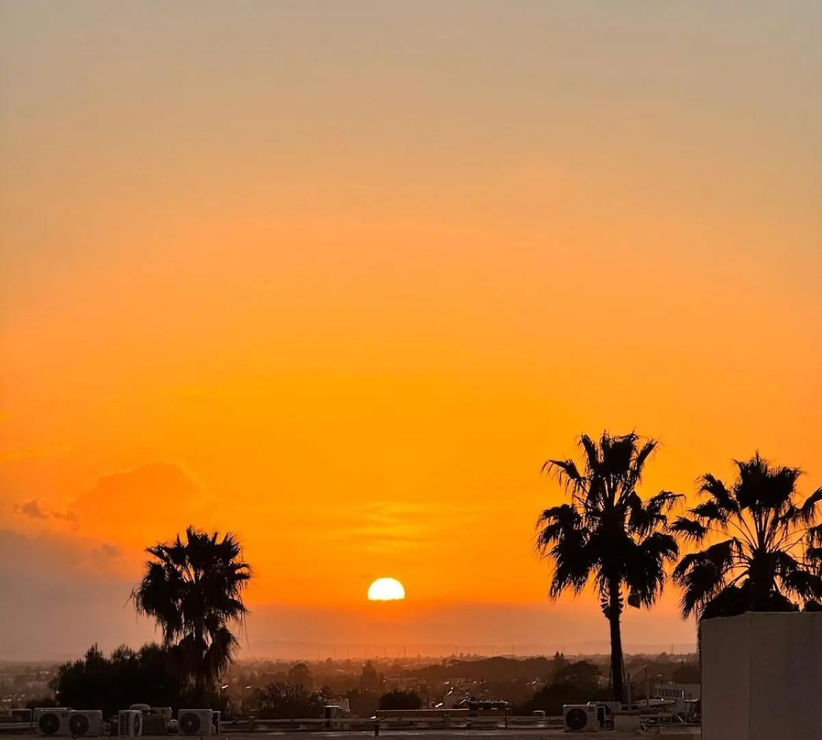 Gold Feather 2Bedroom Center Location And Pool Agia Napa 0*,
